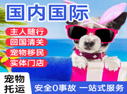 胶东空运公司国际宠物托运 【国